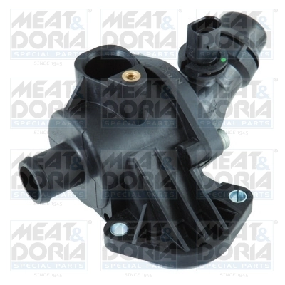 Thermostat, coolant
